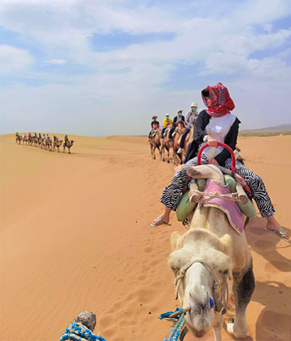 Cici Asia Odyssey Travel