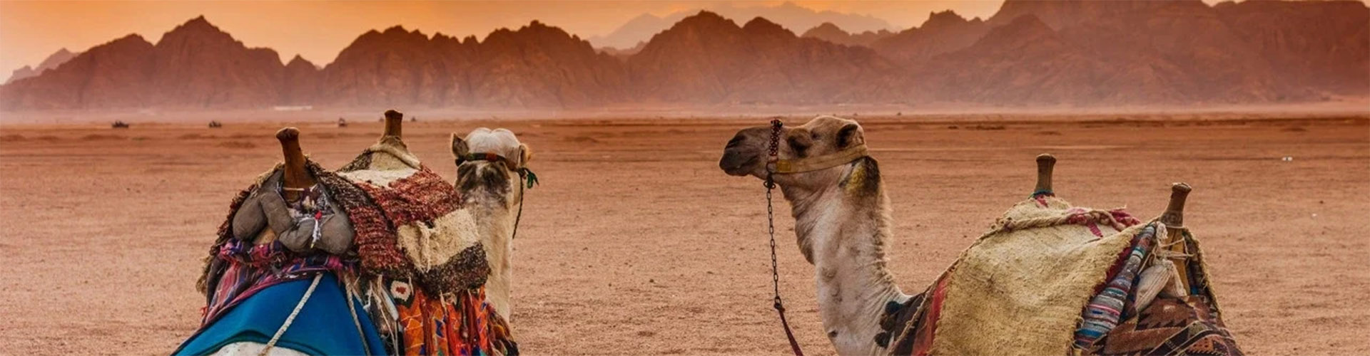 Egypt Adventure Tours