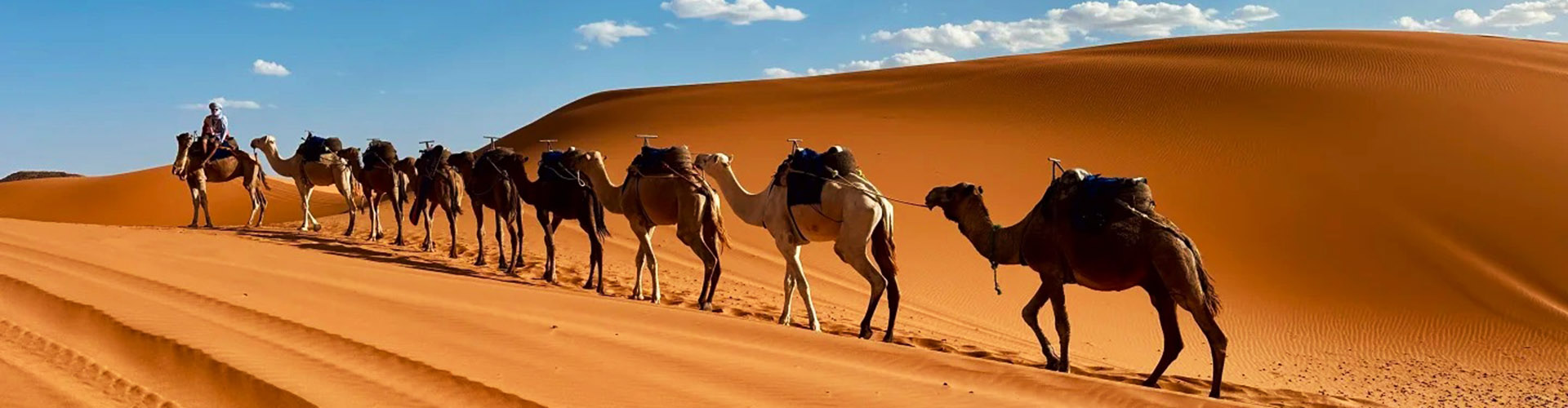 Marrakech Desert Tours