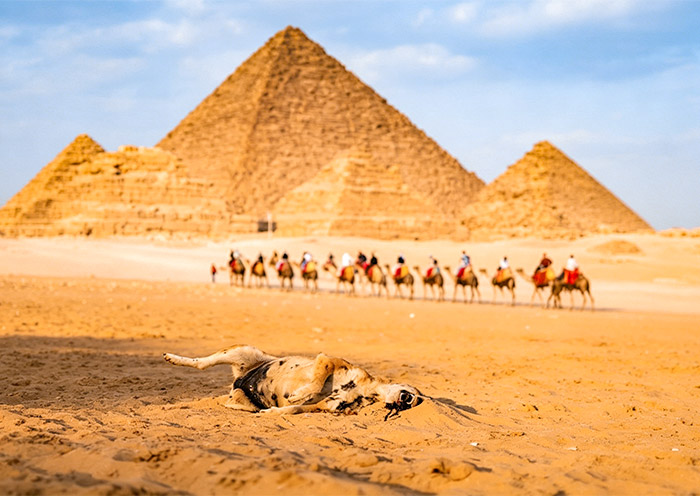 Egypt Tours