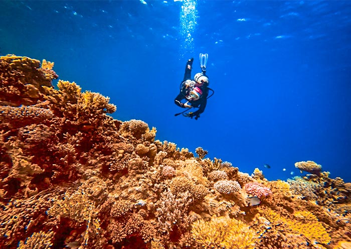 Hurghada Diving, Egypt Hurghada Diving, Egypt