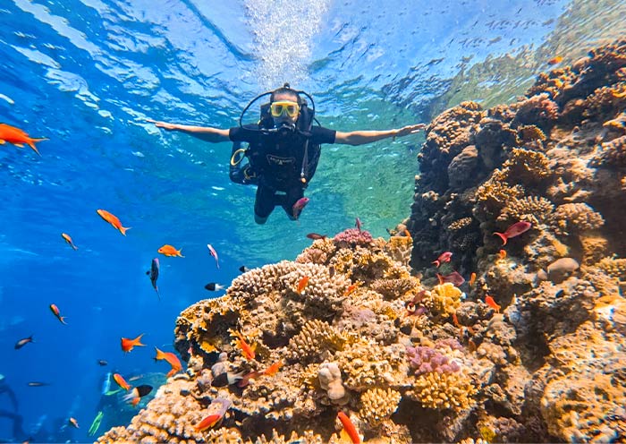 Muhammad National Park, Sharm El Sheik, Egypt Muhammad National Park, Sharm El Sheik, Egypt
