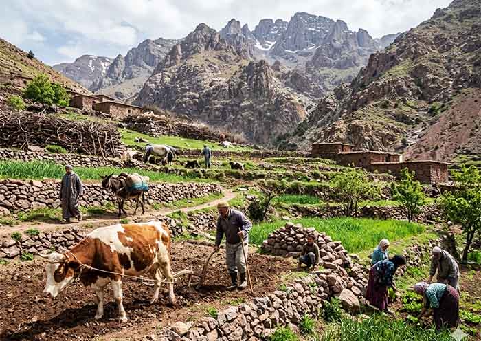 Atlas Mountains Hiking Atlas Mountains Hiking