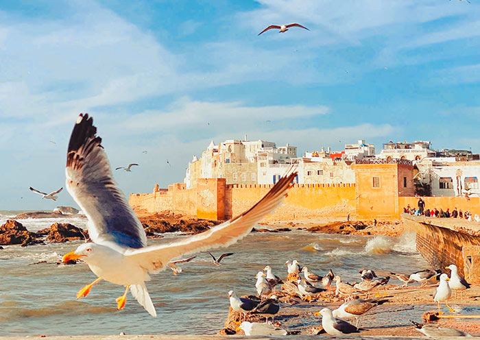Essaouira Beach