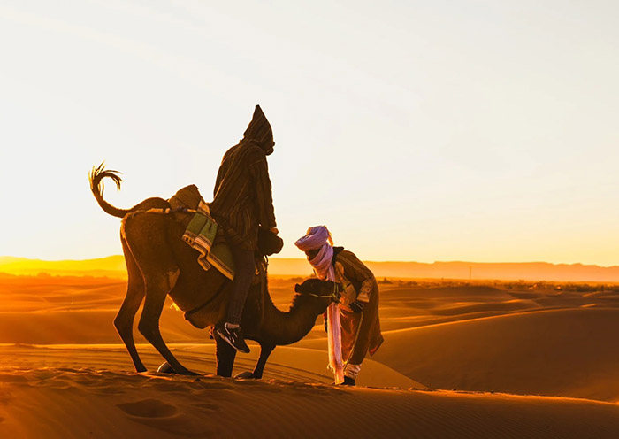 Marrakech Sahara Desert Camel Trekking