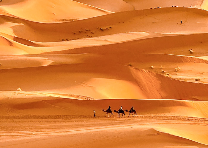 Marrakech Sahara Desert Camel Trekking
