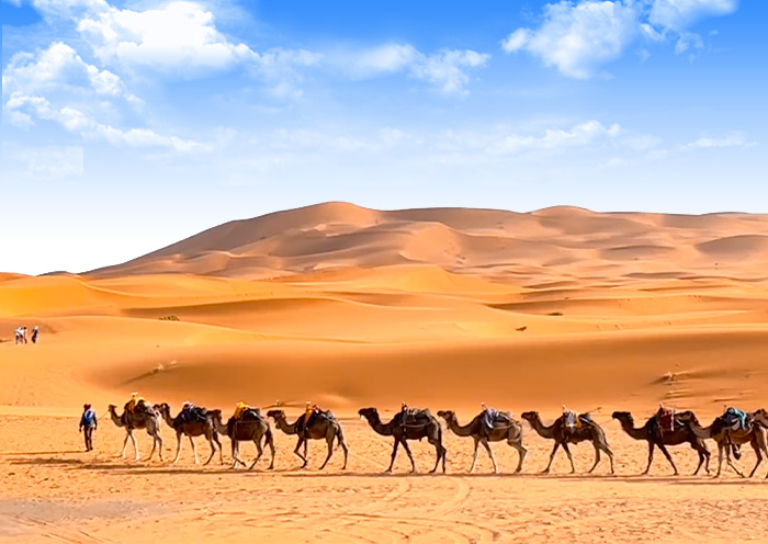 Marrakech Sahara Desert Camel Trekking Marrakech Sahara Desert Camel Trekking