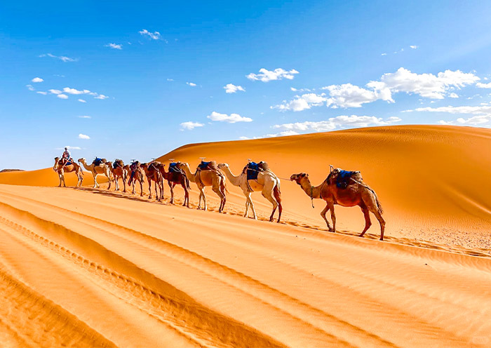 Sahara Desert Tours