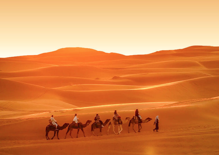 Marrakech Sahara Desert Camel Trekking Marrakech Sahara Desert Camel Trekking