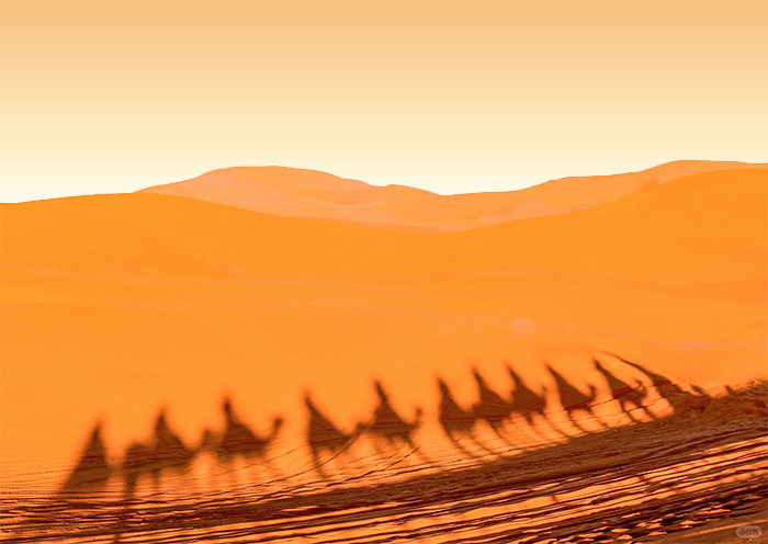 Marrakech Sahara Desert Camel Trekking