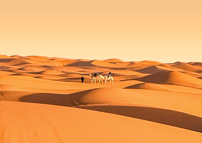 Marrakech Sahara Desert Camel Trekking