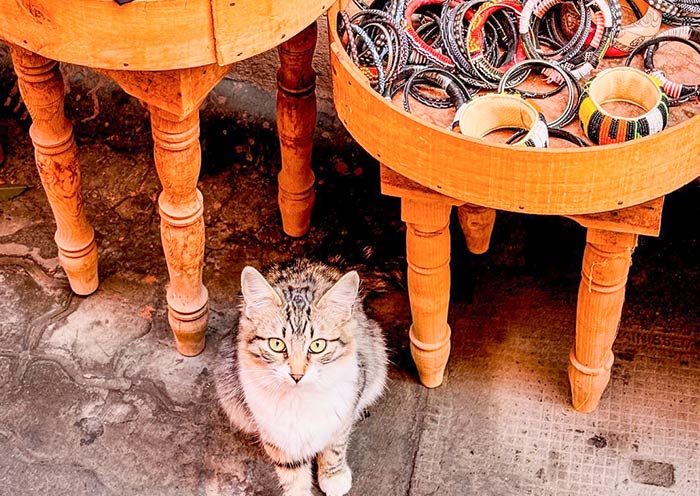 Tangier Melina Tangier Melina