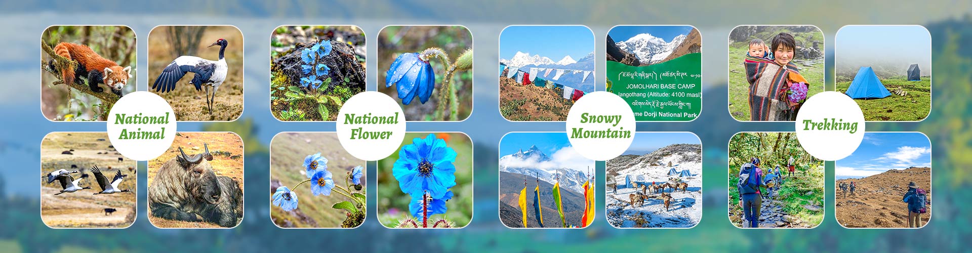 Bhutan Nature Tours