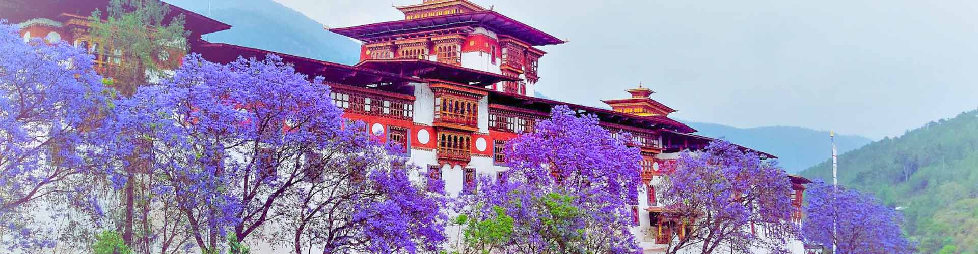 Bhutan Family Tours