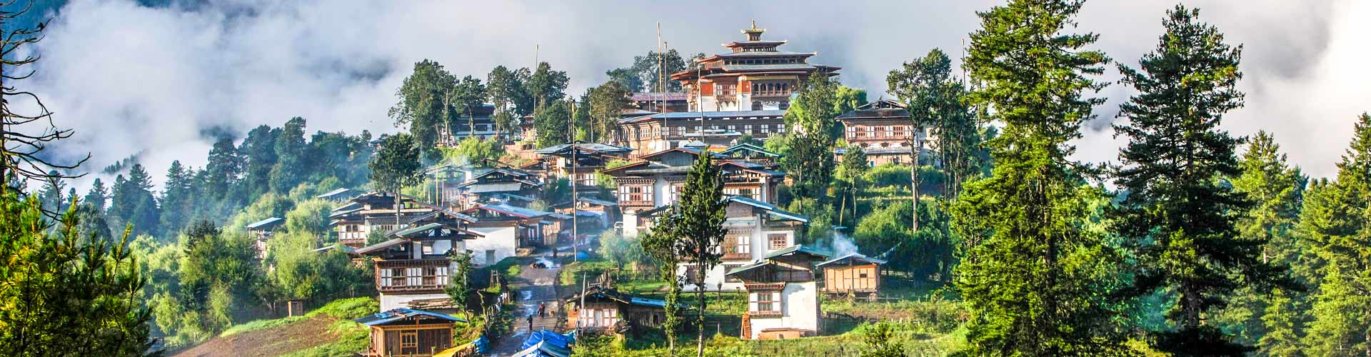 Wangdue Phodrang & Gangtey Tours