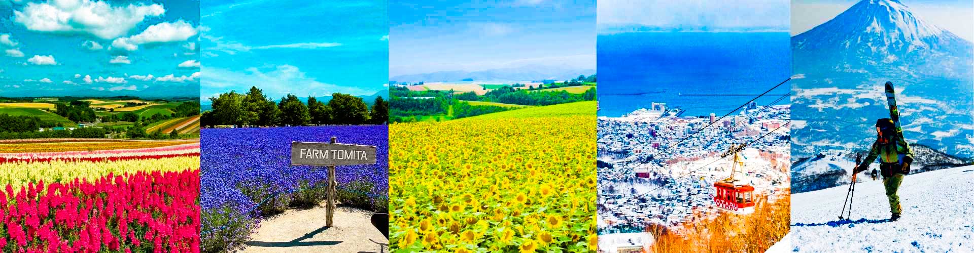 Hokkaido Tours