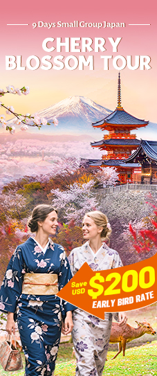Japan Cherry Blosso Group Tour
