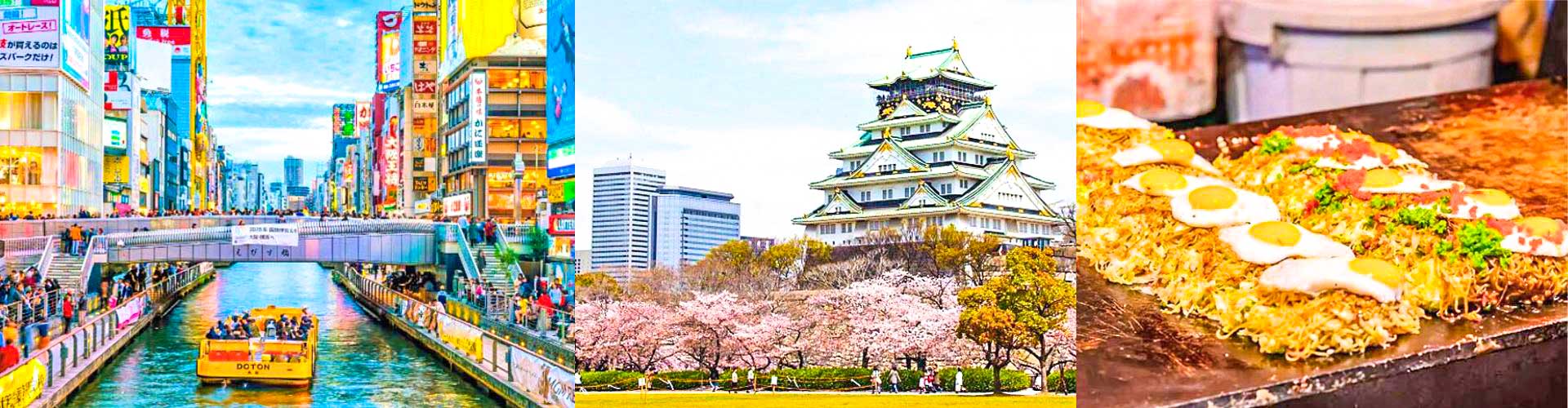 Japan Food Tours