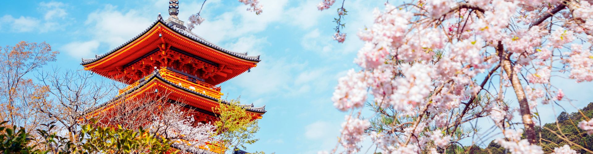 Japan Tour Packages from Australia