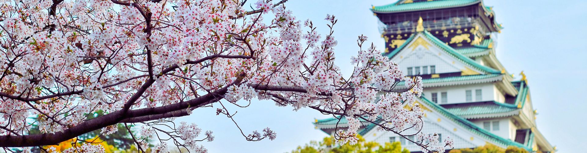 Japan Tours from Singapore 