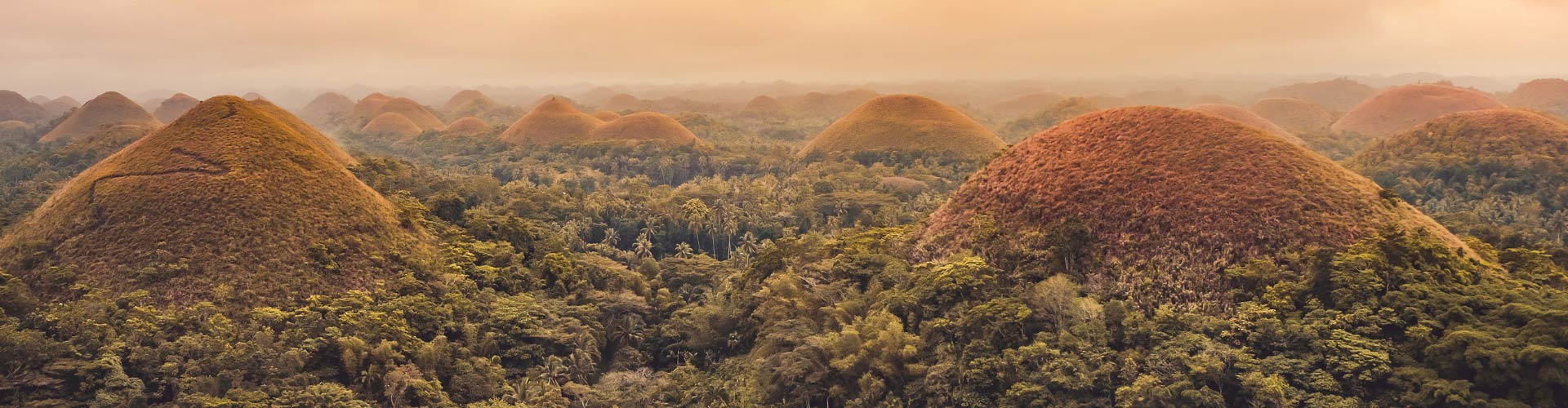 Bohol Tours