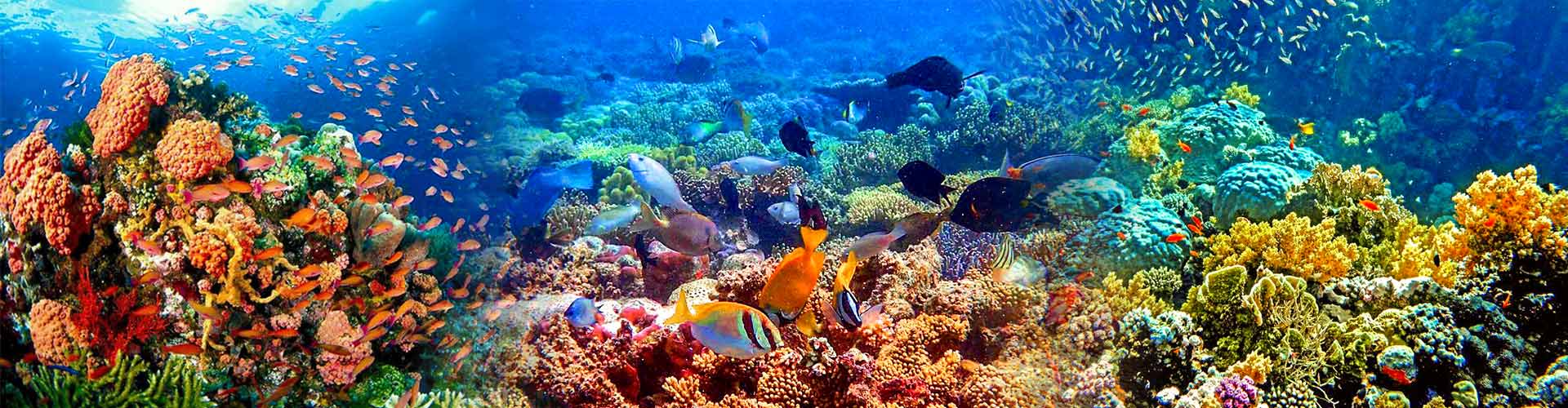 Philippines Adventure Tours