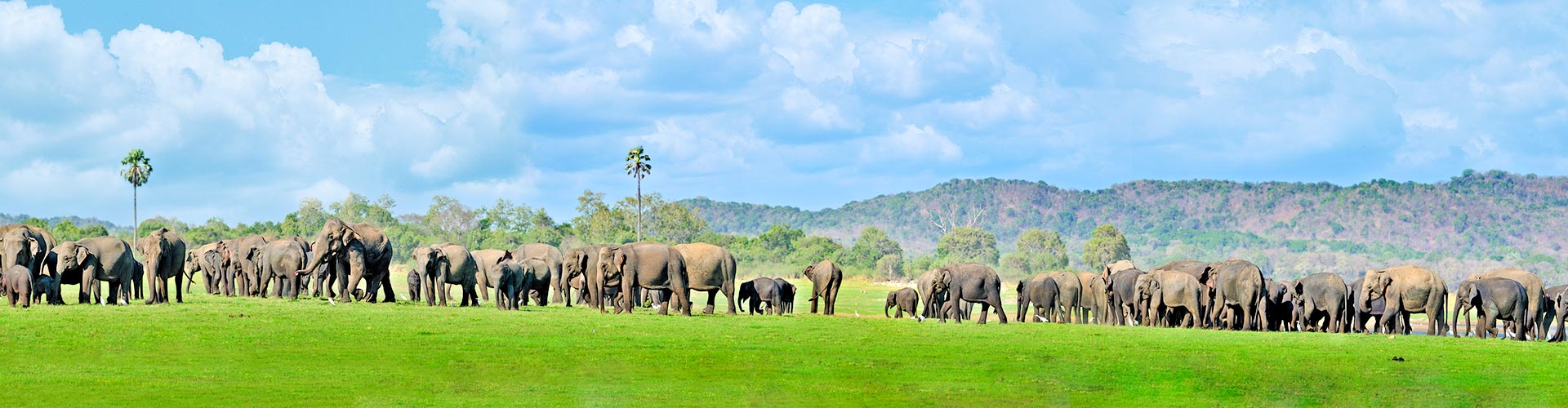 India Sri Lanka Tours 