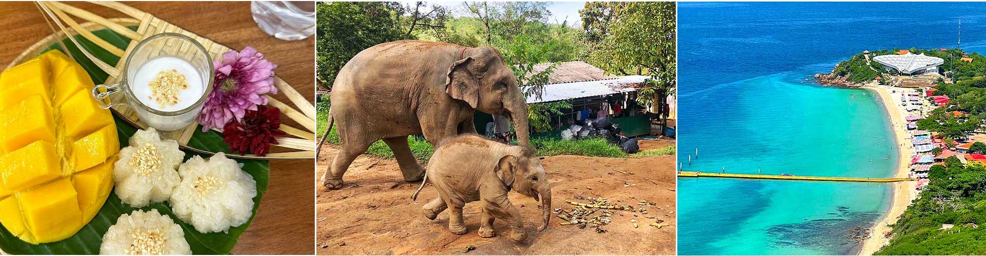 Thailand Family Tours