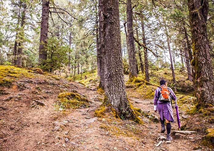 Hiking in Bhutan