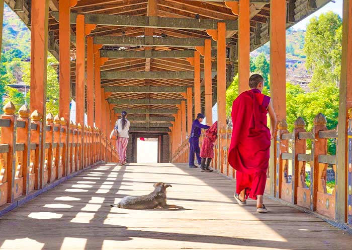 The Bazam Bridge leads to Punakha Dzongkhag The Bazam Bridge leads to Punakha Dzongkhag