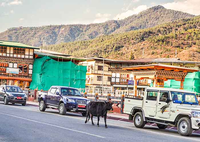 Paro to Thimphu