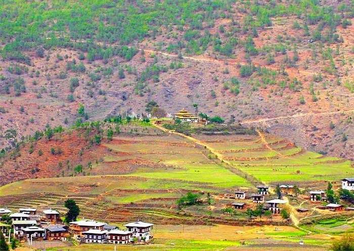 Take a short hiking to visit Chimi Lhakhang Take a short hiking to visit Chimi Lhakhang