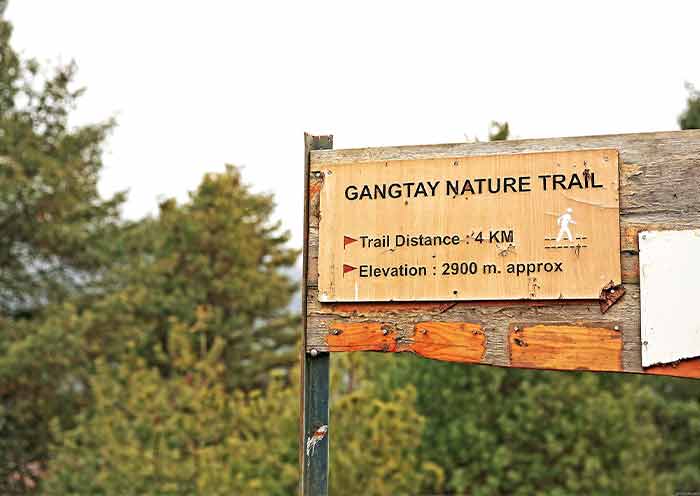 Gangtey Nature Trail 
