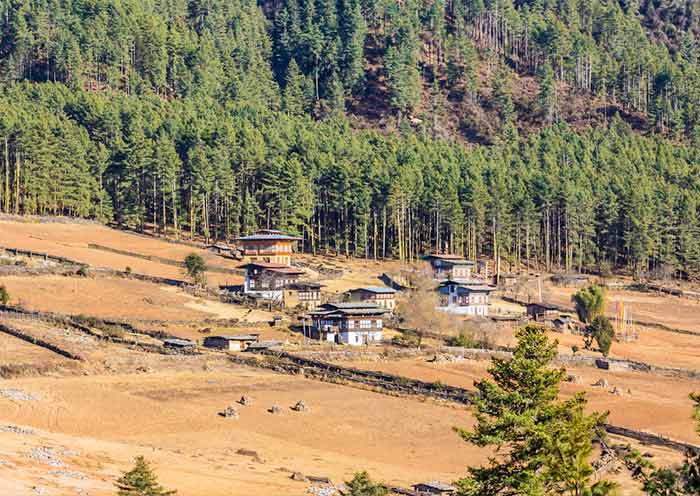 Gangtey Valley Gangtey Valley