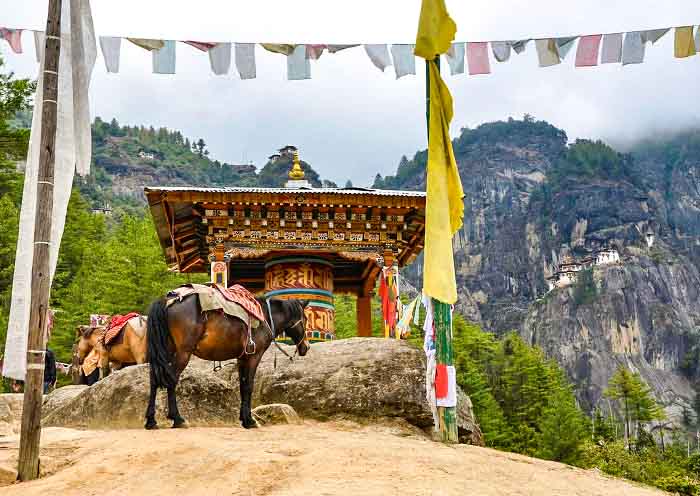 Bhutan tour
