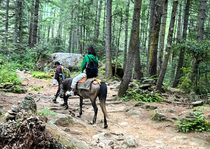 Bhutan tour