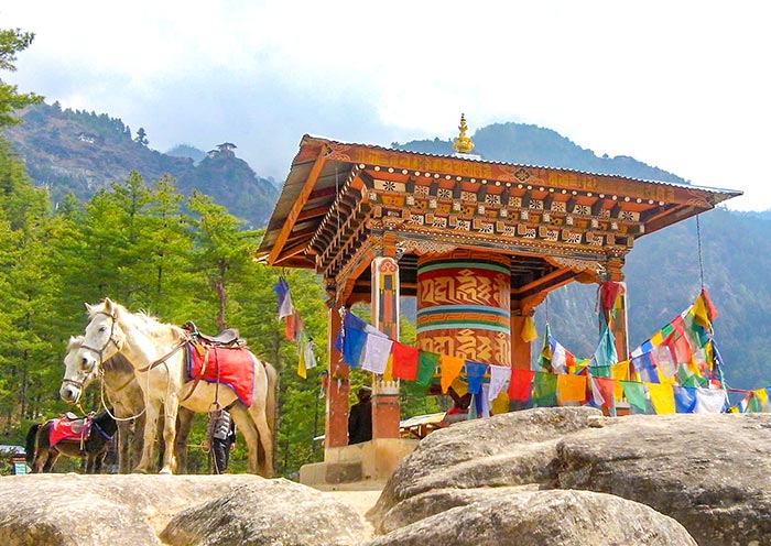 Bhutan tour