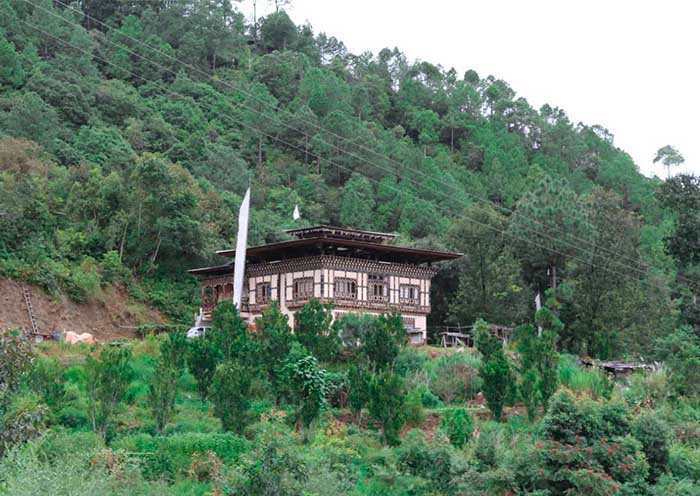 punakha hotels