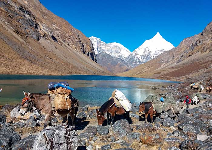 Beautiful Lake View for Jomolhari Trek