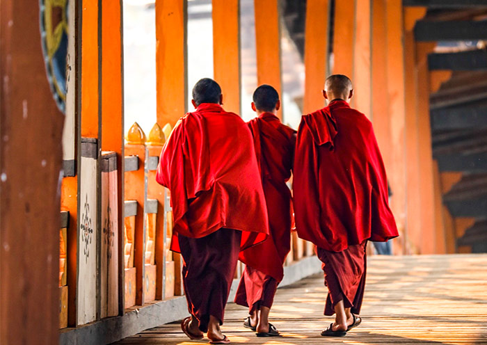 Monks in Punakha Dzong Bridge, Bhutan
