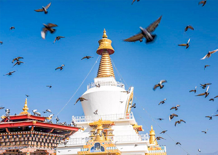 Travel to Thimphu