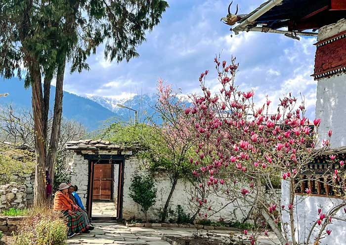 Bhutan tour