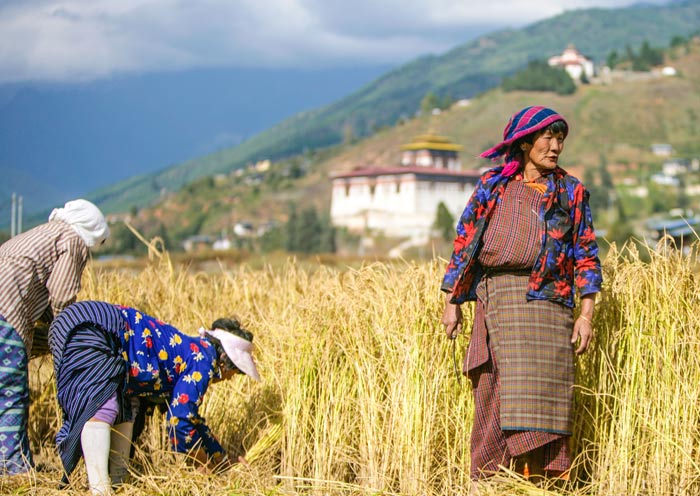 Paro Rinpung Dzong (Paro Dzong)