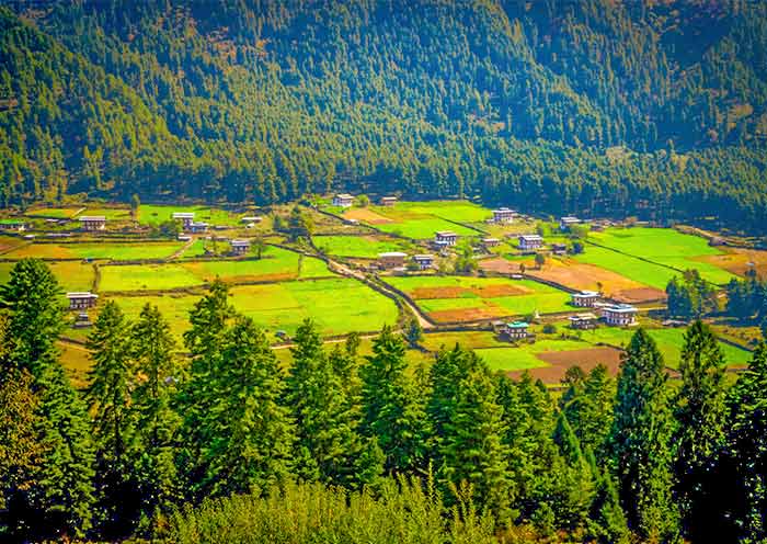 Bhutan Nature Tours