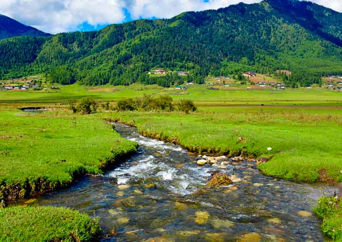 Phobjikha Valley
