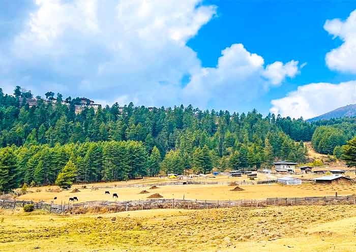 Bhutan Tour