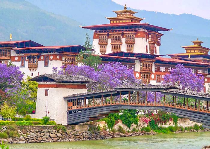 Punakha Dzong: Centerpiece of Bhutan Kingdom (Punakha, Bhutan)