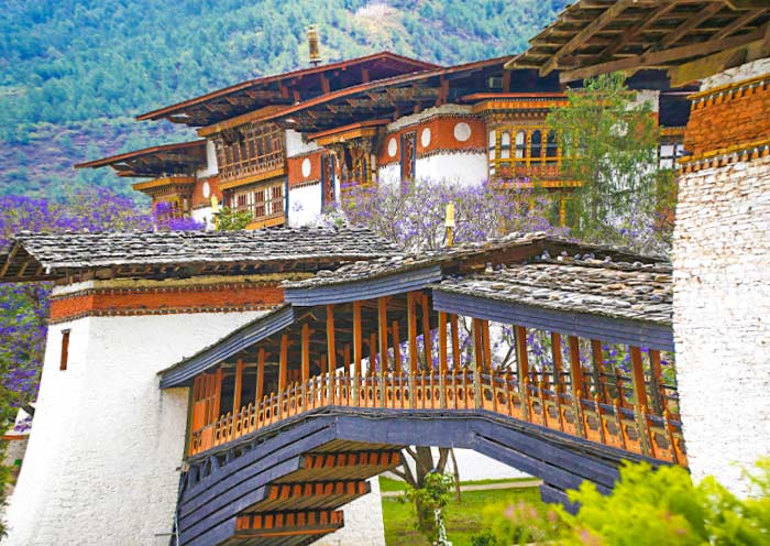 Punakha Dzong Punakha Dzong