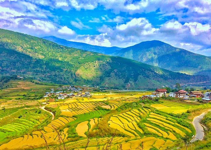 Punakha Valley