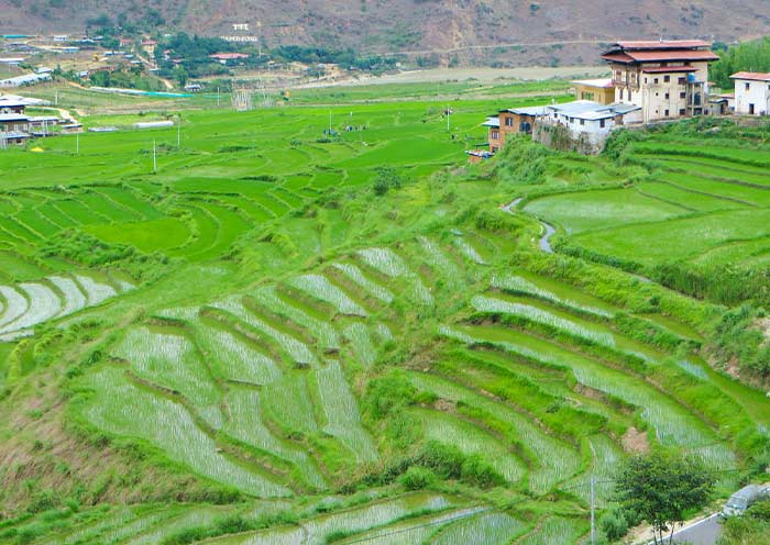May Weather Bhutan